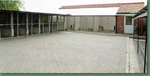 A view of the kennels